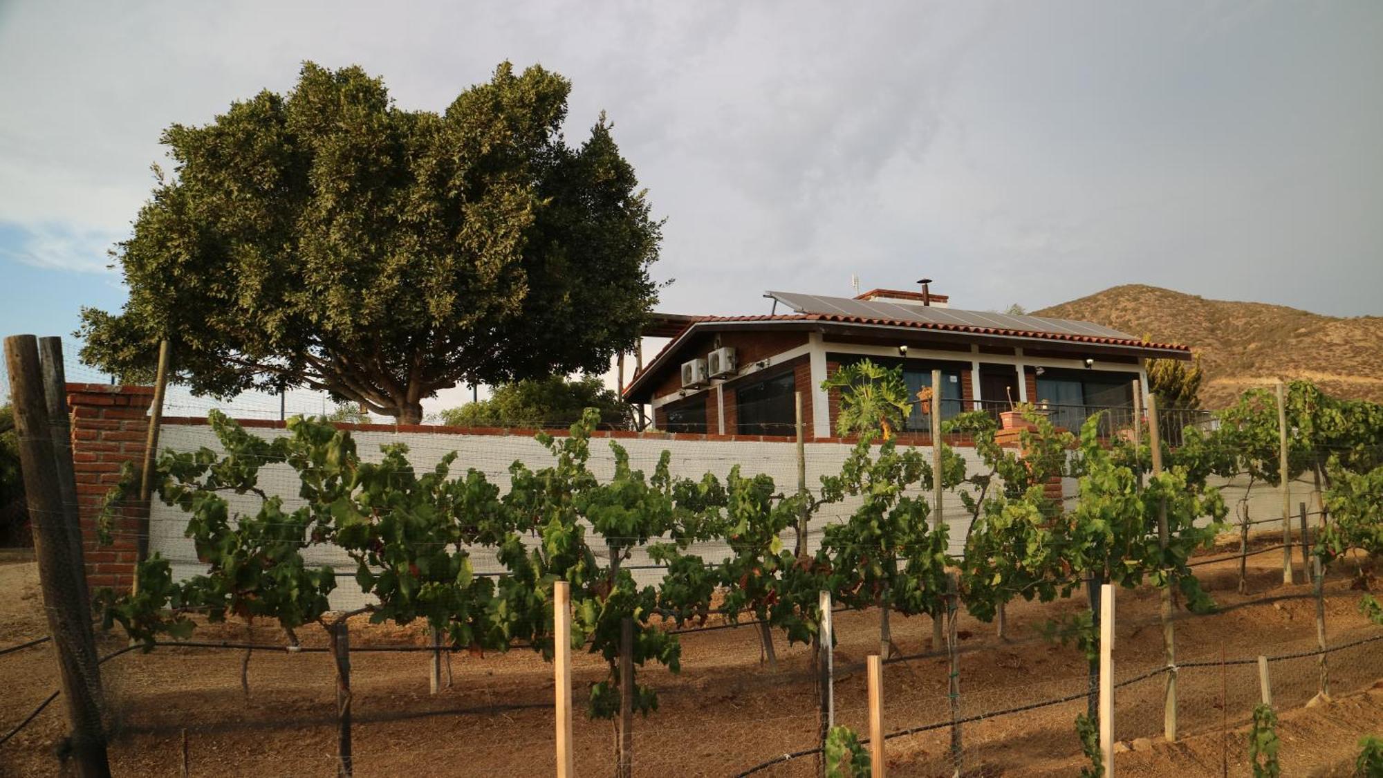 Quinta Sofia Valle De Guadalupe (Adults Only) Exterior photo
